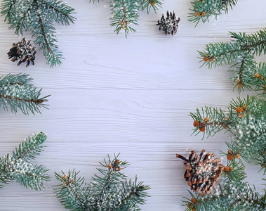 白色木制背景框架上的圣诞树树枝