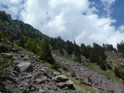 意大利南部提罗尔高山的顶峰岩石全景景观，欧洲有云蓝天森林绿草草甸