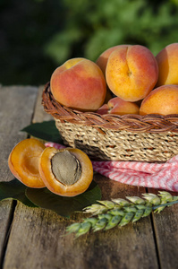 美味的成熟杏子在篮子里的乡村背景。 健康食品
