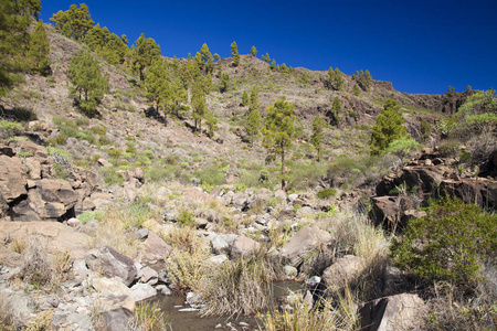 格拉加那利2018年11月,伊那瓜自然公园的边缘,下雨后,水在小峡谷巴兰