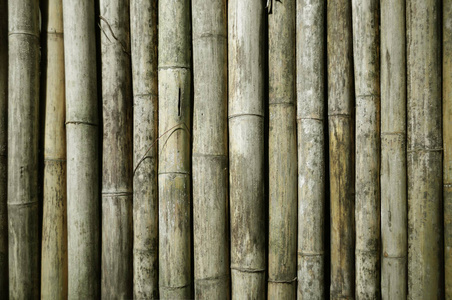 用天然竹木竖杆做成的旧围栏，特写..