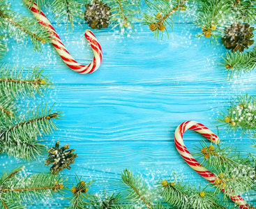 蓝木背景上的圣诞树树枝糖果