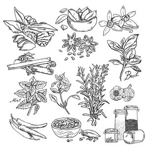 荞麦素描图片-荞麦素描素材-荞麦素描插画-摄图新视界