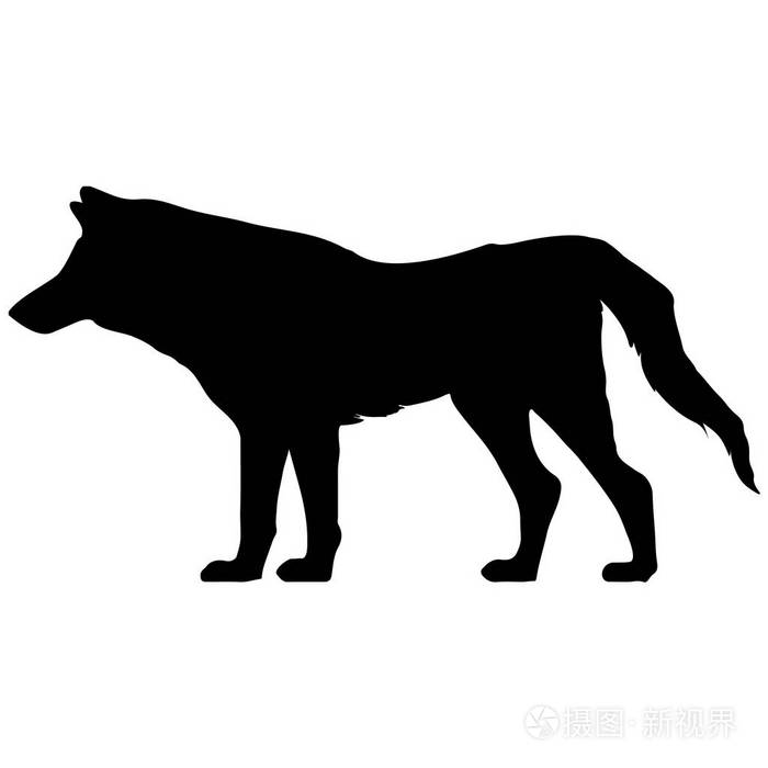 狼的黑色和白色矢量剪影动物例证