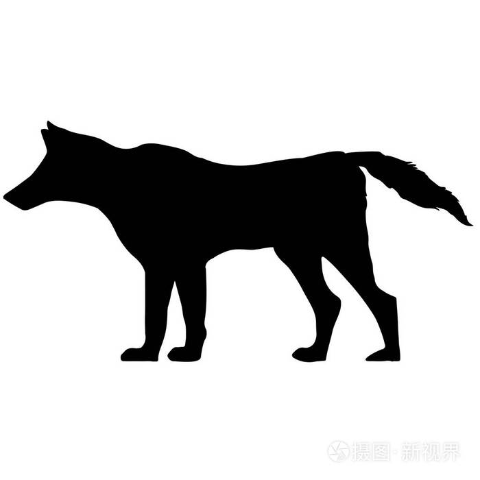狼的黑色和白色矢量剪影动物例证
