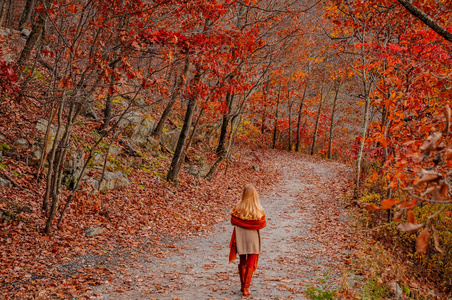 穿着温暖毛衣的漂亮女人旅行者正在秋天的森林里散步。