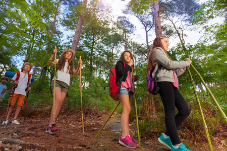 一群带着登山杆的孩子在森林里散步，在暑期活动学校营地里