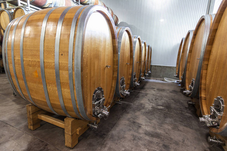 智利是相当有名的,因为它的惊人的葡萄酒在这里,我们可以看到大酒木桶