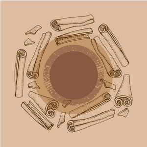 肉桂棒。芳香香料集合的向量图画。季节性食物例证在棕色背景。手绘的香料和味道素描。烹饪和美酒成分