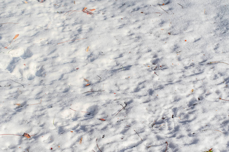 白雪皑皑的冬天背景