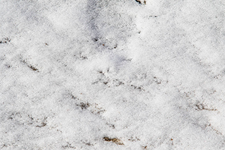 白雪皑皑的冬天背景