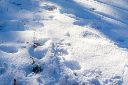 白雪皑皑的冬天背景