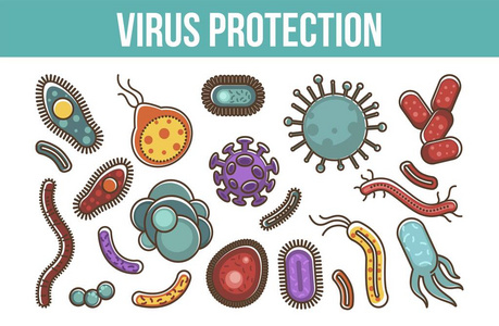 医疗保健信息图表矢量的病毒和细菌信息海报