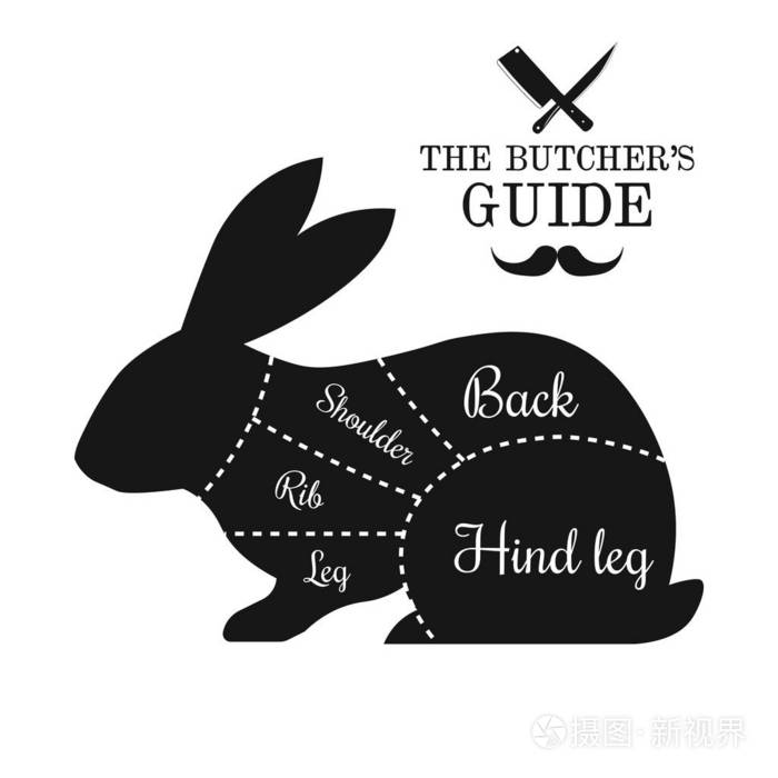 兔子肉切割线图动物,黑白矢量插图