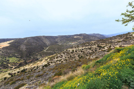 山景观林，山谷