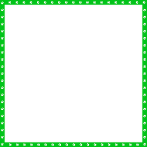 矢量绿色和白色方形边框由动物爪印制成，分离在白色背景上。 复制空间模板边界框架相框海报横幅猫或狗爪步道。