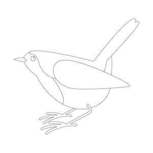 知更鸟向量例证, 衬里画, 外形照片