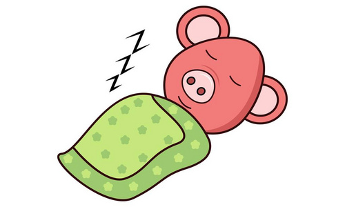 矢量卡通插图可爱的猪睡觉. 孤立在白色背景上.照片