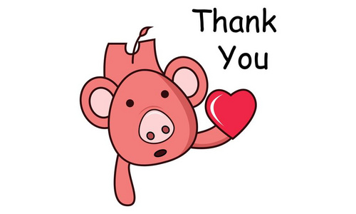 矢量卡通插图可爱的猪与心和说谢谢。 孤立在白色背景上。
