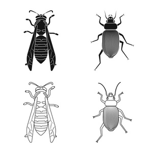 昆虫和飞行符号的矢量设计。昆虫和元素存量矢量图的采集
