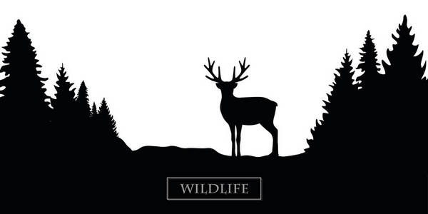 野生动物驯鹿剪影森林景观黑色和白色