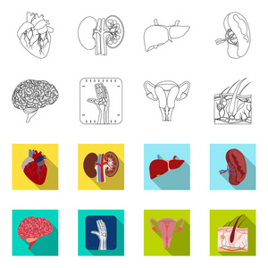 人体和人体标志的矢量例证。股票的身体和医学矢量图标集