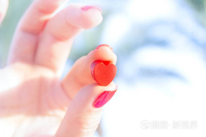 红心是情人节的礼物心是秋天的爱框架情人节背景与爱的心在女孩手
