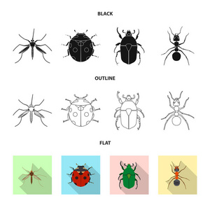 昆虫和飞行标志的矢量设计。昆虫和元素存量矢量图的采集