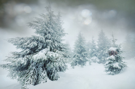 冬季雪覆盖森林。 很适合圣诞节背景。