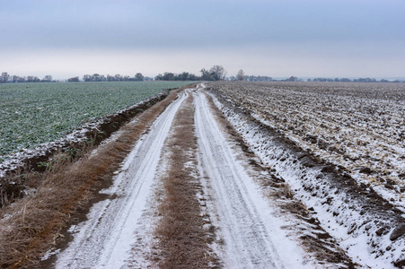 绿肥深秋季节乌克兰第一场雪覆盖的农田之间的土路景观照片