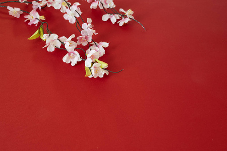 中国新年2019年节日装饰梅花红色背景(汉字.