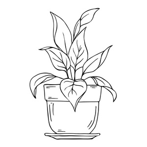 盆栽卡通图片-盆栽卡通素材-盆栽卡通插画-摄图新视界