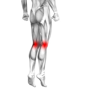 概念膝关节人体解剖与红色热点炎症或关节疼痛的腿部保健治疗或运动肌肉概念。 男子关节炎或骨质疏松症