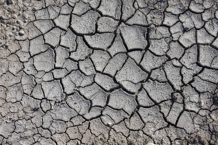干裂土土壤背景