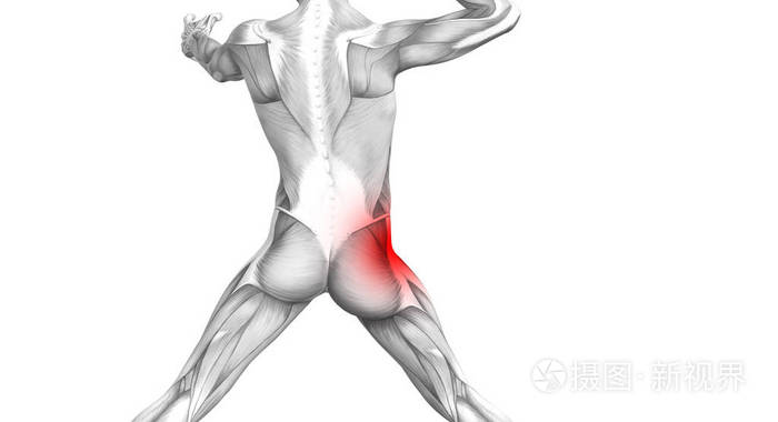 概念髋关节人体解剖与红色热点炎症关节疼痛用于腿部保健治疗或运动