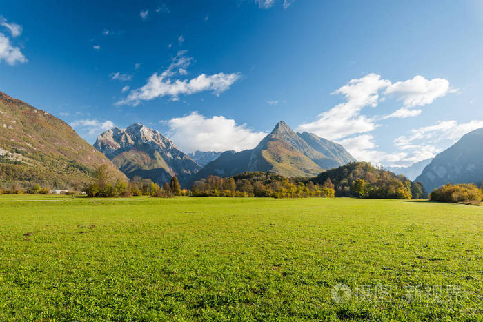 生机勃勃的绿色草地和斯洛文尼亚的高阿尔卑斯山