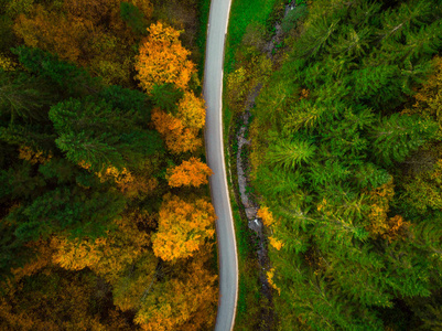 在蜿蜒的道路上俯视秋天的森林。