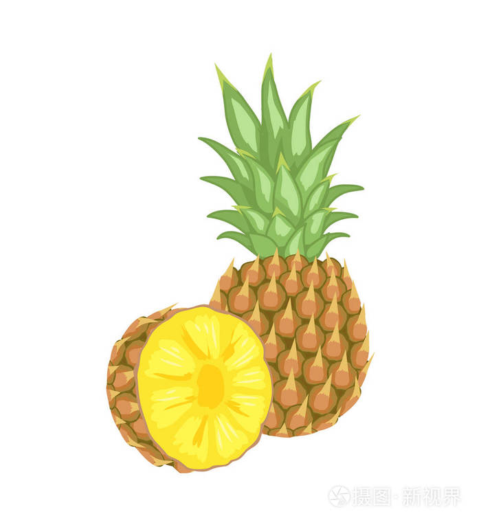 菠萝热带植物食用水果海报