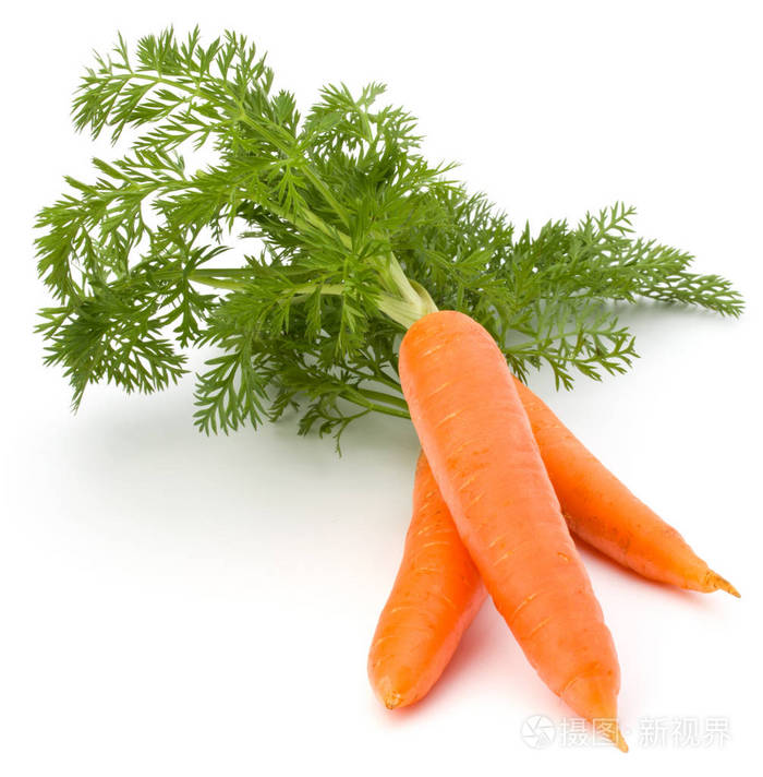 胡萝卜蔬菜叶子分离白色背景切