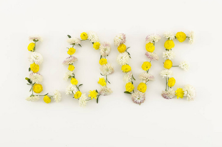 爱的话语是用花朵写的。白色背景上的花构成。喜欢花字