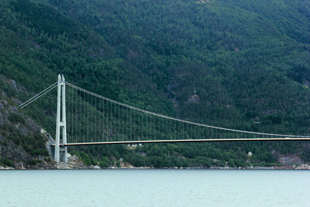 哈丹格桥是横跨挪威霍达兰县哈丹格夫乔登分支的最长的悬索桥。