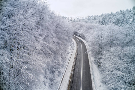 鸟瞰雪林与道路在维米奥地区在希腊北部。 用无人机从上面捕获。