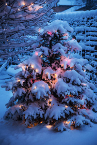 新年树上覆盖着雪，装饰着圣诞灯。 下雪的冬天背景。