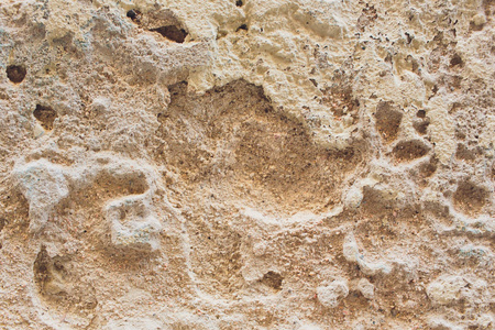 复古背景纹理的古老水泥与裂缝。旧的剥落油漆碎片, 混凝土表面有裂缝。材料