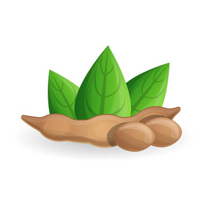 大豆图标, 卡通风格照片