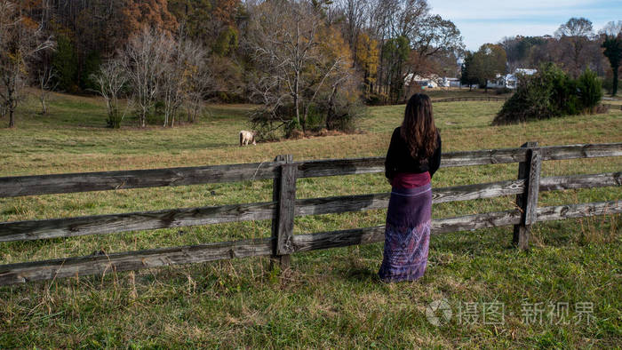 撒荣的女人站在风化的栅栏旁看着马