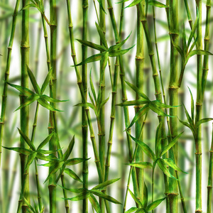 竹水彩茎叶无缝图案白色背景。水彩手绘绿色植物纹理插图。用于纺织品壁纸包装的打印。逼真的照片效果..