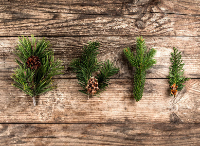 圣诞杉枝云杉杜松松落叶松松果在木制背景上。 圣诞节和新年主题。 平躺式顶部视图