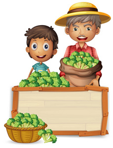 农夫拿着花椰菜在横幅插图上