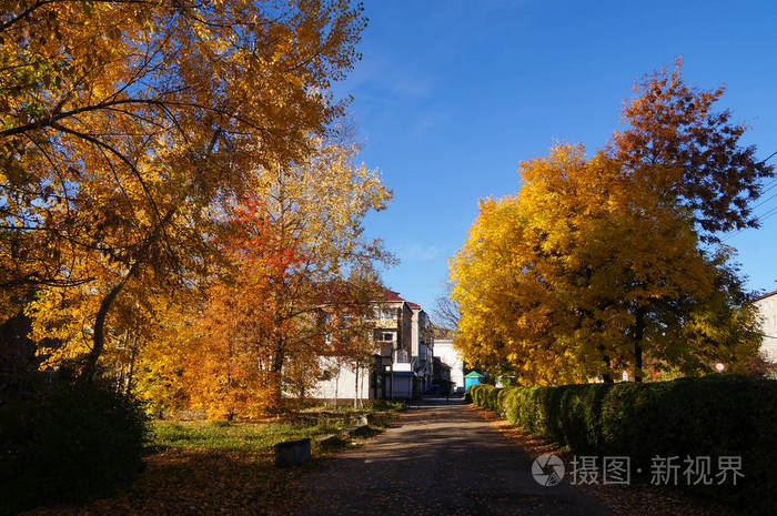 美丽的景色在秋天的早晨阳光下阿尔泰斯卡泰共和国
